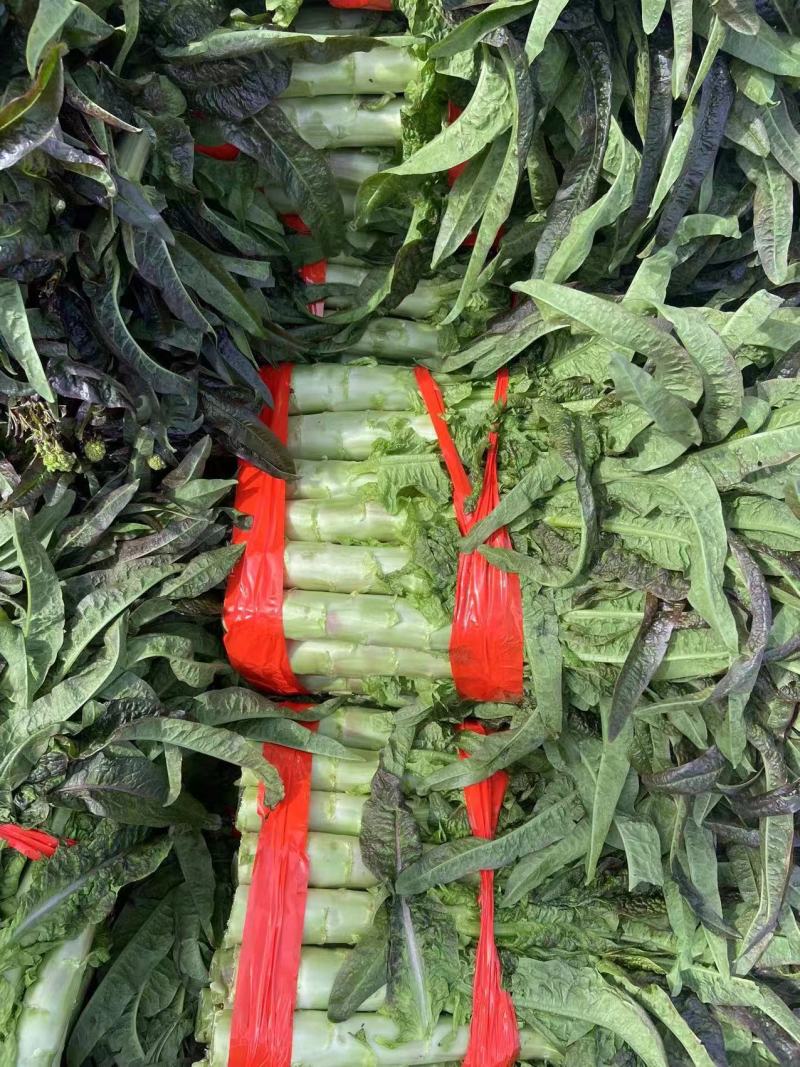 【推荐】湖北尖叶莴笋红莴笋供应市场商超电商量大价优