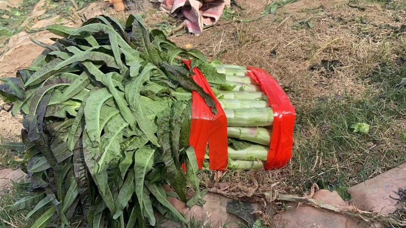 【推荐】湖北尖叶莴笋红莴笋供应市场商超电商量大价优