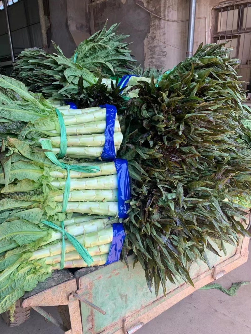 【推荐】湖北尖叶莴笋红莴笋供应市场商超电商量大价优