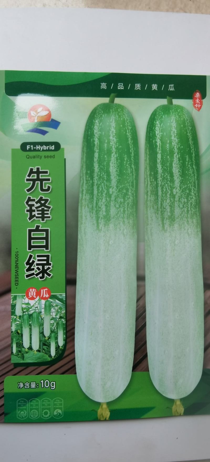 水果黄瓜种子先锋白绿