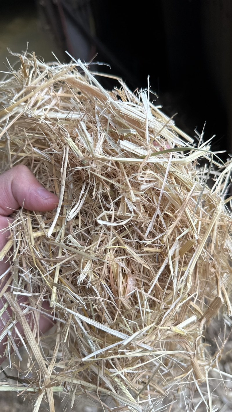 稻草大方包
