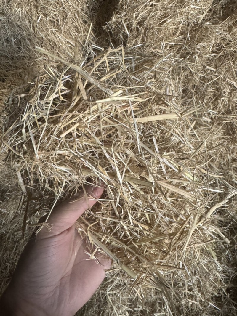 稻草小方包