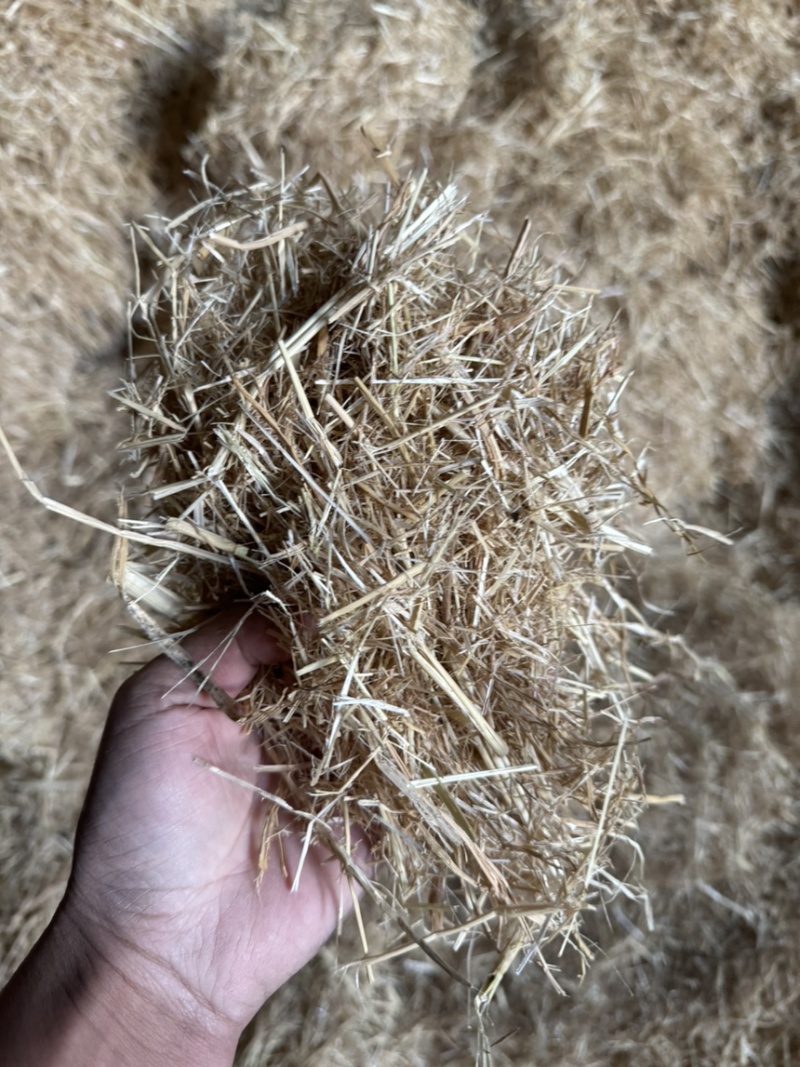 稻草小方包
