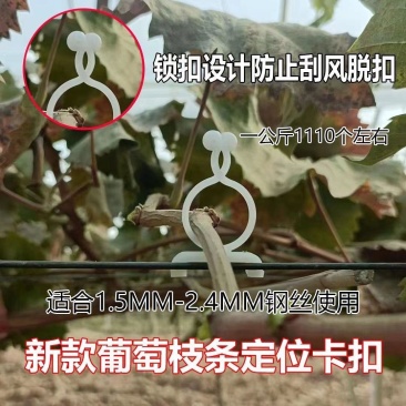 葡萄猕猴桃绑枝卡扣蓝莓葡萄树苗枝条固定塑料挂钩绑蔓绑枝卡