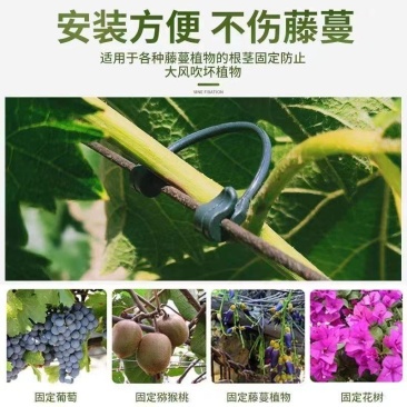 葡萄猕猴桃绑枝卡扣蓝莓葡萄树苗枝条固定塑料挂钩绑蔓绑枝卡