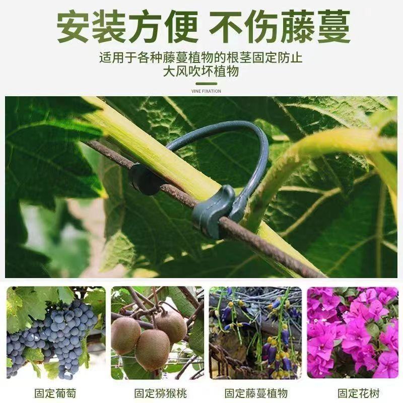 葡萄猕猴桃绑枝卡扣蓝莓葡萄树苗枝条固定塑料挂钩绑蔓绑枝卡
