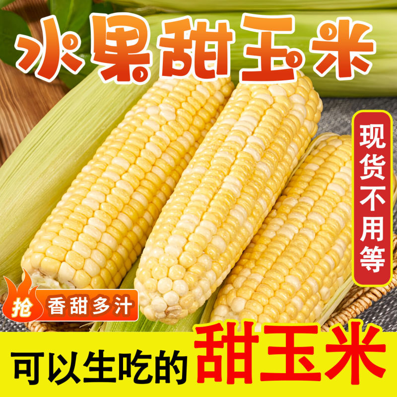 【玉米畅削弟1名】云南水果玉米新鲜现摘甜玉米棒生吃牛奶爆