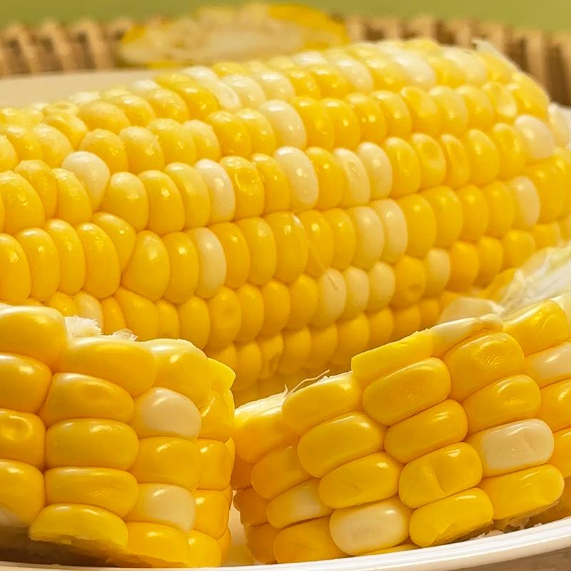 【玉米畅削弟1名】云南水果玉米新鲜现摘甜玉米棒生吃牛奶爆