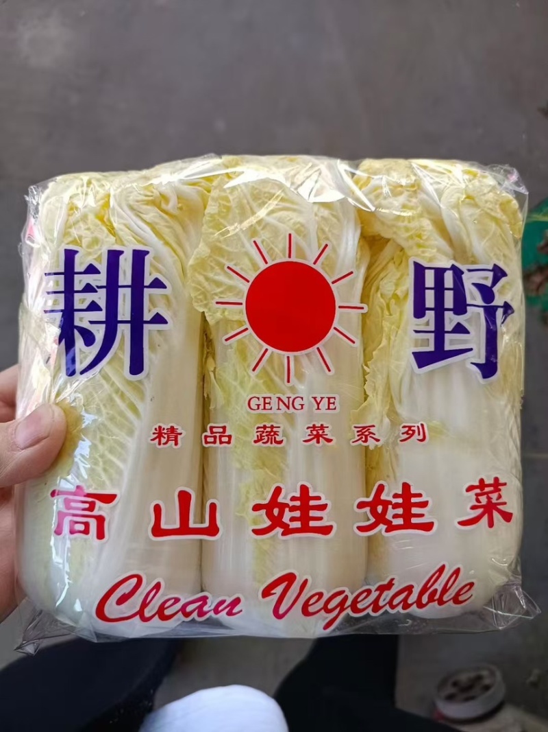 娃娃菜河北产区直发保质保量供货代发全国