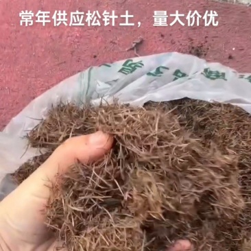 松针，干松针，自然腐熟发酵松针，育苗基质