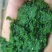 商用韭菜花酱，量大，可长年供现做现发，山东发货，颜色好看