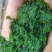 商用韭菜花酱现做现发，大量有货，无任何添加剂。