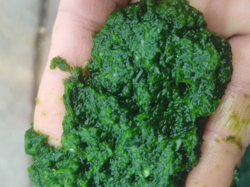商用韭菜花酱现做现发，大量有货，无任何添加剂。