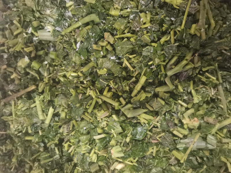 好山好水好香椿，2024年原料好，2024年咸菜就好。