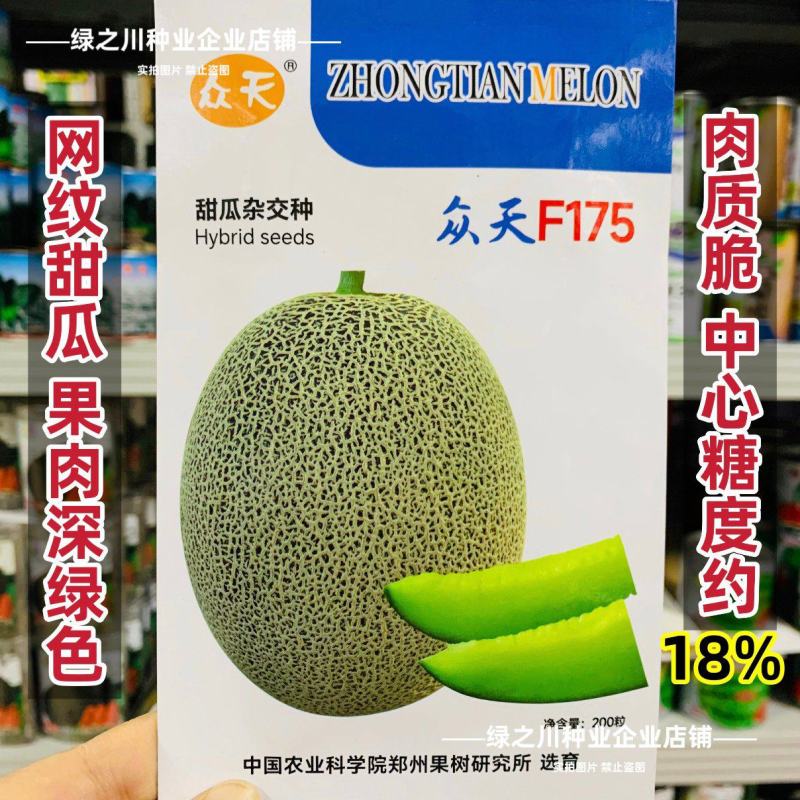 众天F175甜瓜种子椭圆形高糖绿肉抗病耐运