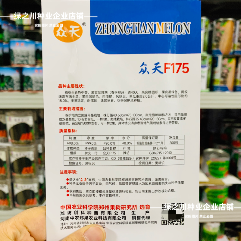 众天F175甜瓜种子椭圆形高糖绿肉抗病耐运