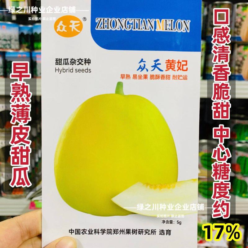 众天黄妃黄皮甜瓜种子清香脆甜早熟皮薄香瓜种子高糖薄皮甜瓜
