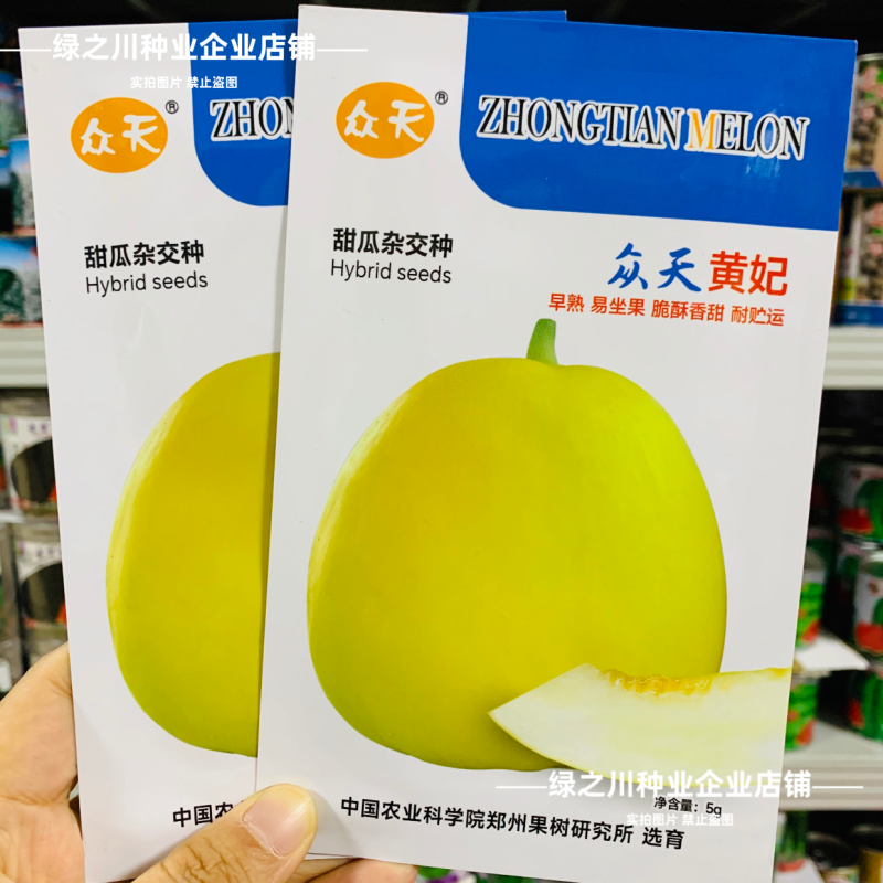 众天黄妃黄皮甜瓜种子清香脆甜早熟皮薄香瓜种子高糖薄皮甜瓜