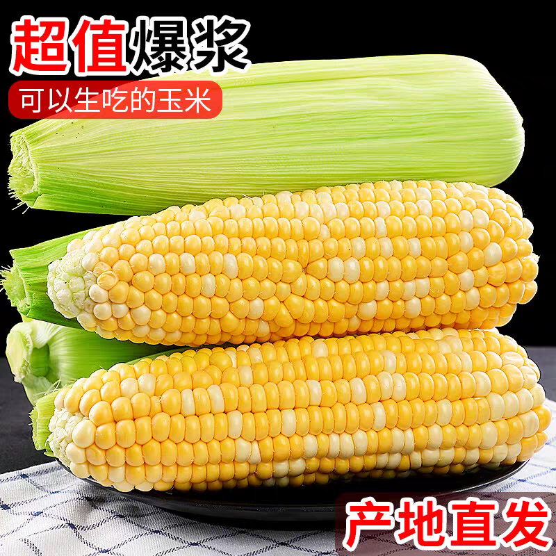 【甜脆好吃】云南水果玉米新鲜现摘甜玉米棒糯嫩生吃牛奶爆浆