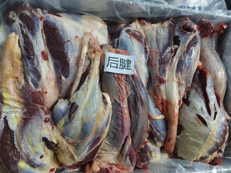 牛后腱基地供应全国直销量大质优保质保量欢迎采购