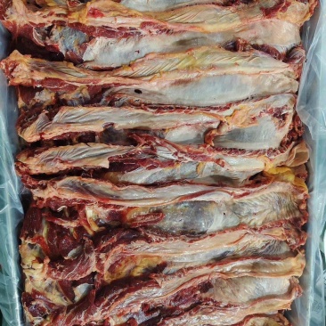 肋条（肋间肉）牛肋条厂家直销保质保量价格优惠