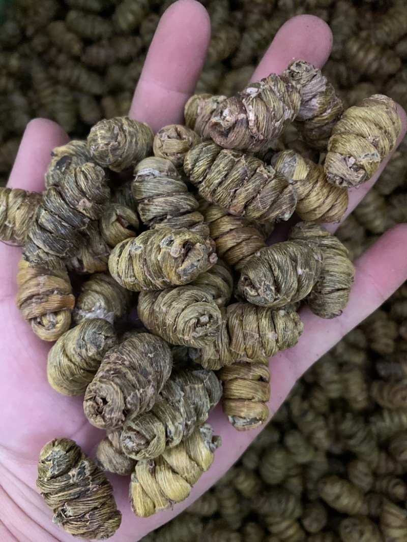 精品铁皮石斛枫斗大颗粒