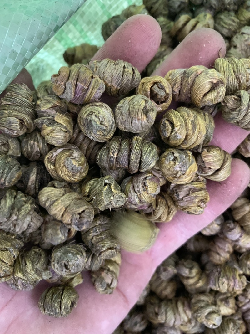 精品铁皮石斛枫斗大颗粒