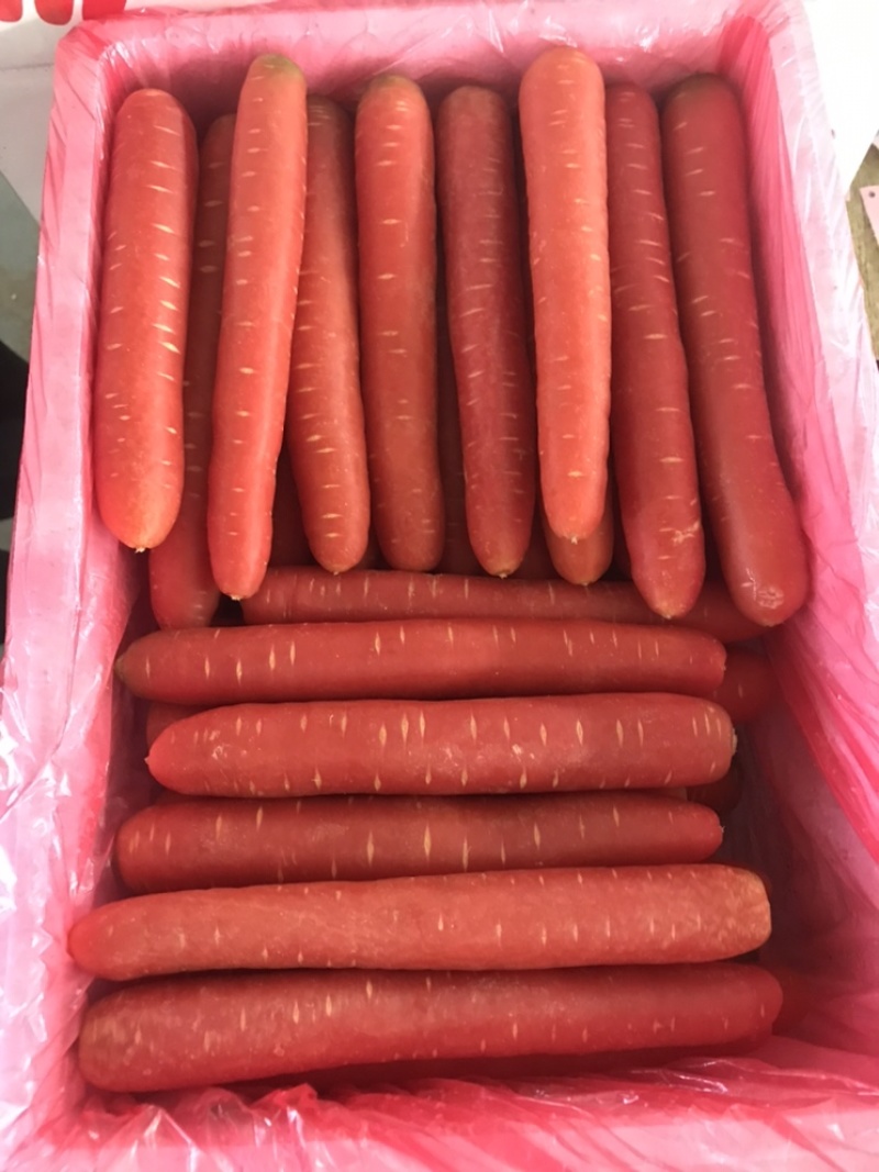 红色水果胡萝卜