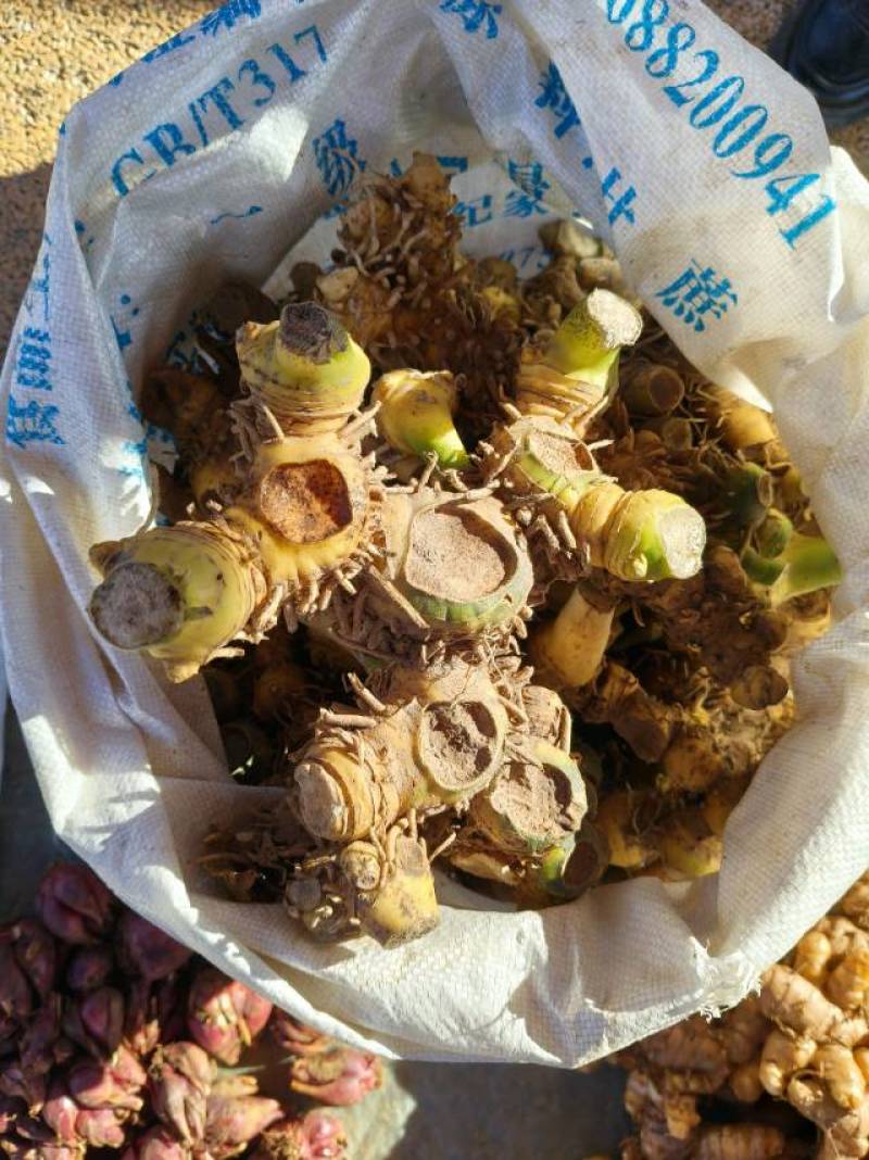 优质野生滇黄精，全国发货，量大从优，可视频看货