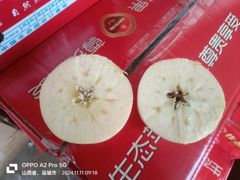纸加膜冰糖心苹果，冷库储存货源，