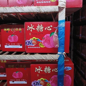 纸加膜冰糖心苹果，冷库储存货源，