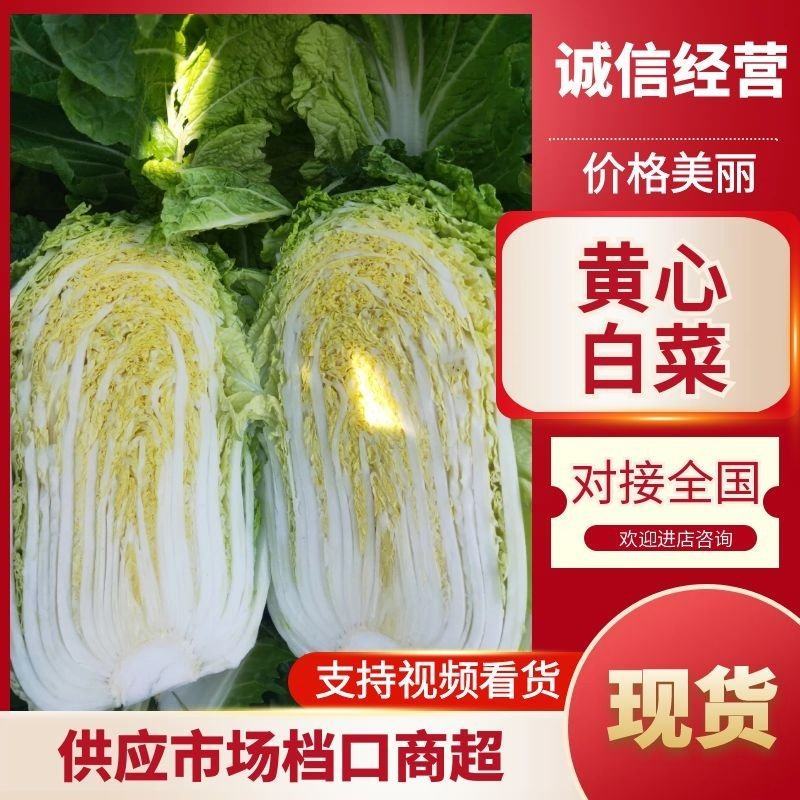 安徽黄心大白菜，产地直销，货源充足，质量保证。