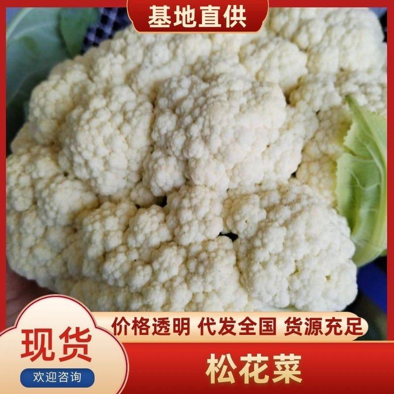 砀山精品有机花菜，青梗白面，小米粒，货源充足，产地直发。