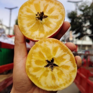 云南昭通冰糖心苹果。丑苹果，苹果代办代发整车团购