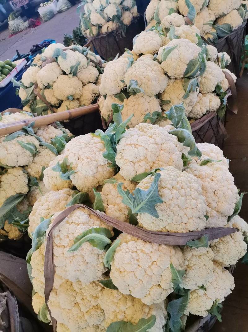 安徽菜花实花松花菜白面青梗散花货源稳定一手货源