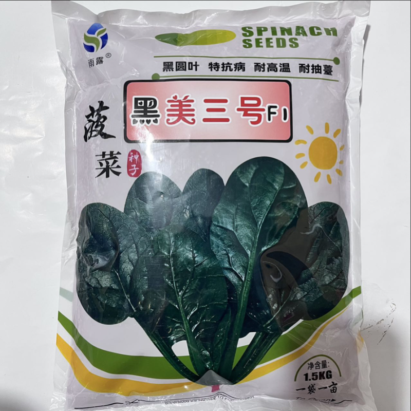 黑美三号菠菜种子耐寒品种种子