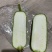 精品肉丝瓜