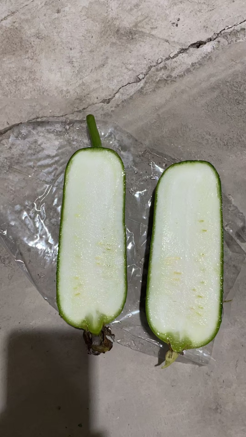 精品肉丝瓜