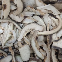 积壳，炒积壳，各种中药材，名贵药材，冷背药材