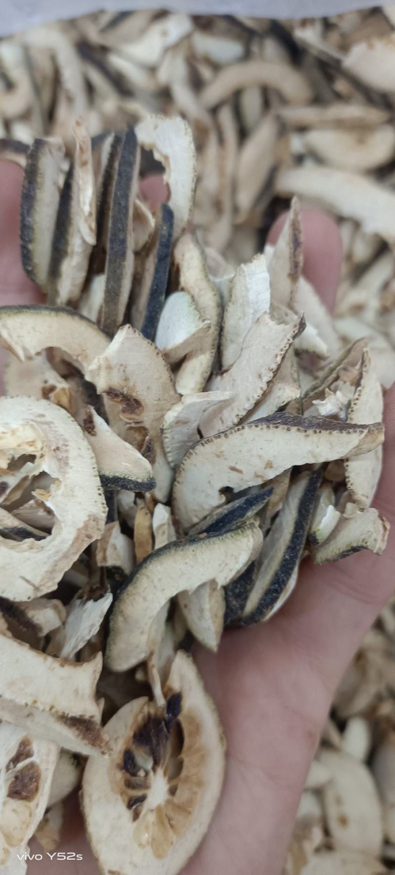积壳，炒积壳，各种中药材，名贵药材，冷背药材
