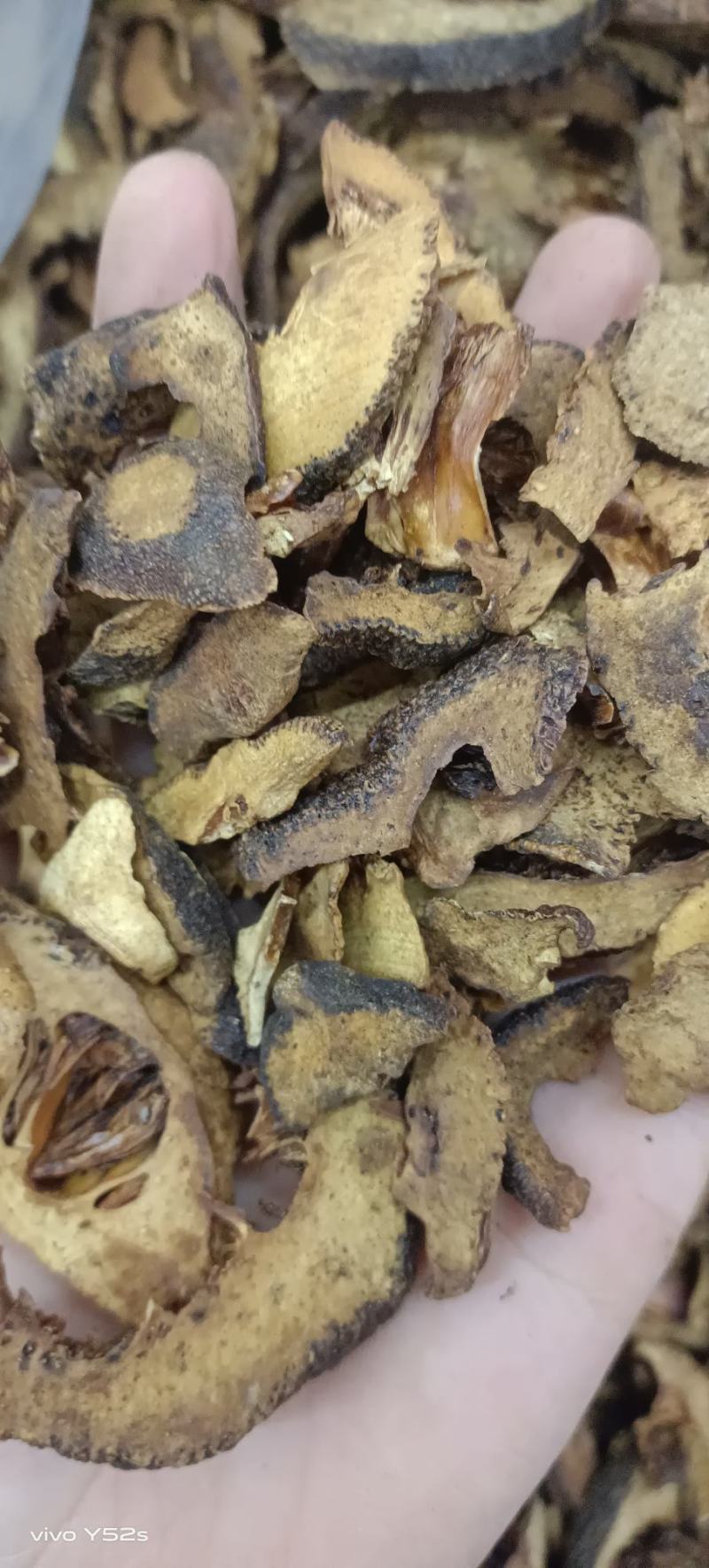 积壳，炒积壳，各种中药材，名贵药材，冷背药材