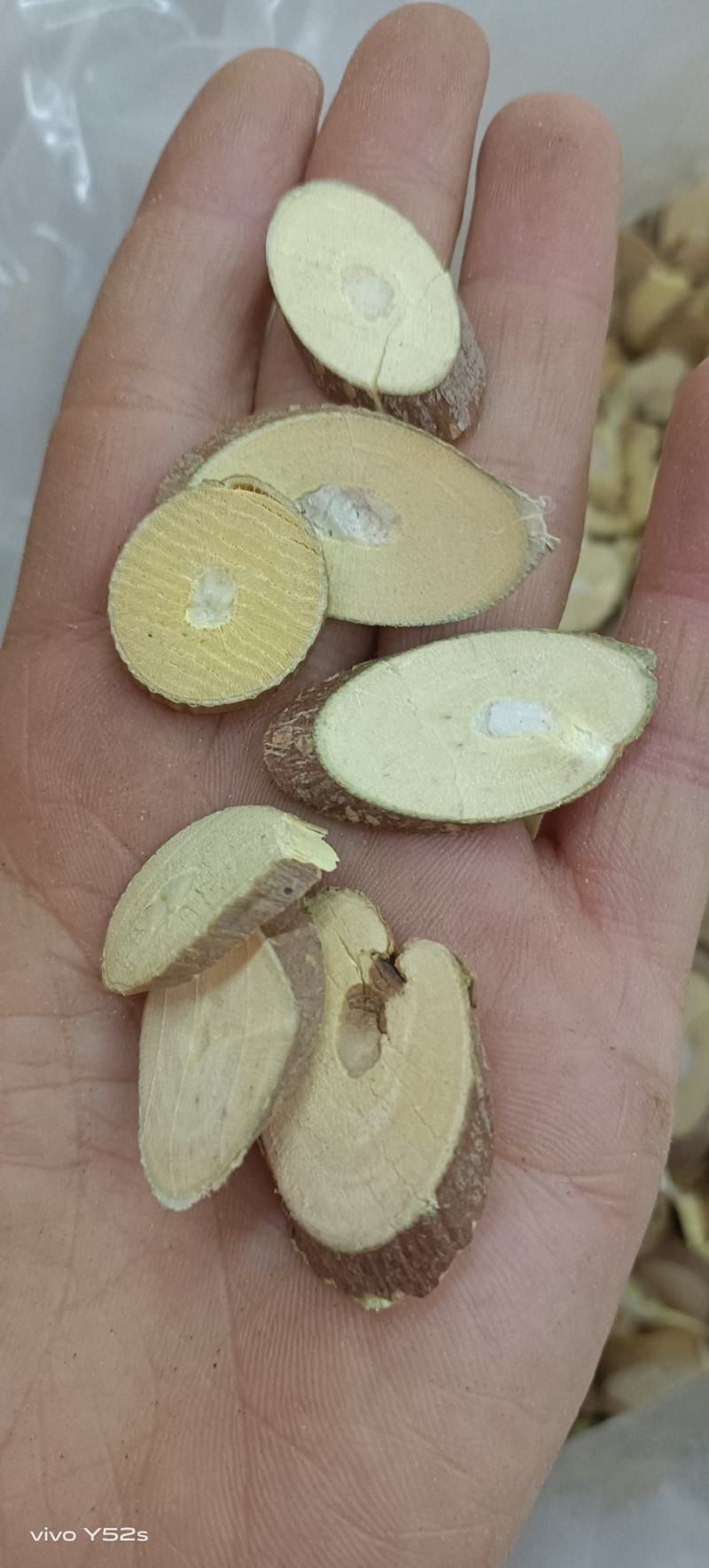 桑枝，有需要的老板小店里直接下单，质量和售后我来保证