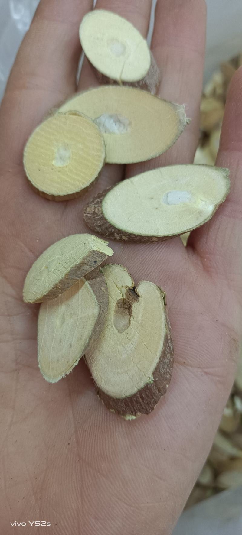 桑枝，有需要的老板小店里直接下单，质量和售后我来保证