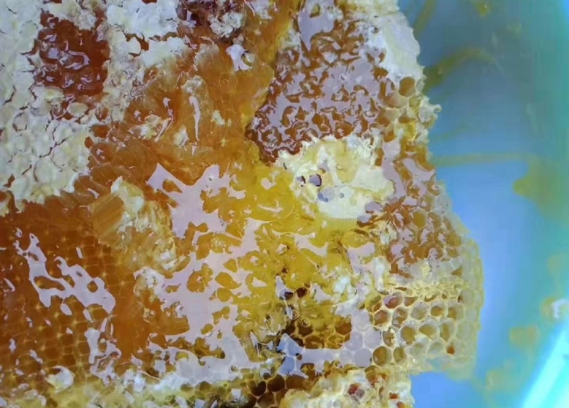 蜂蜜百花蜜硒蜂蜜品质保证量大从优欢迎联系可包邮