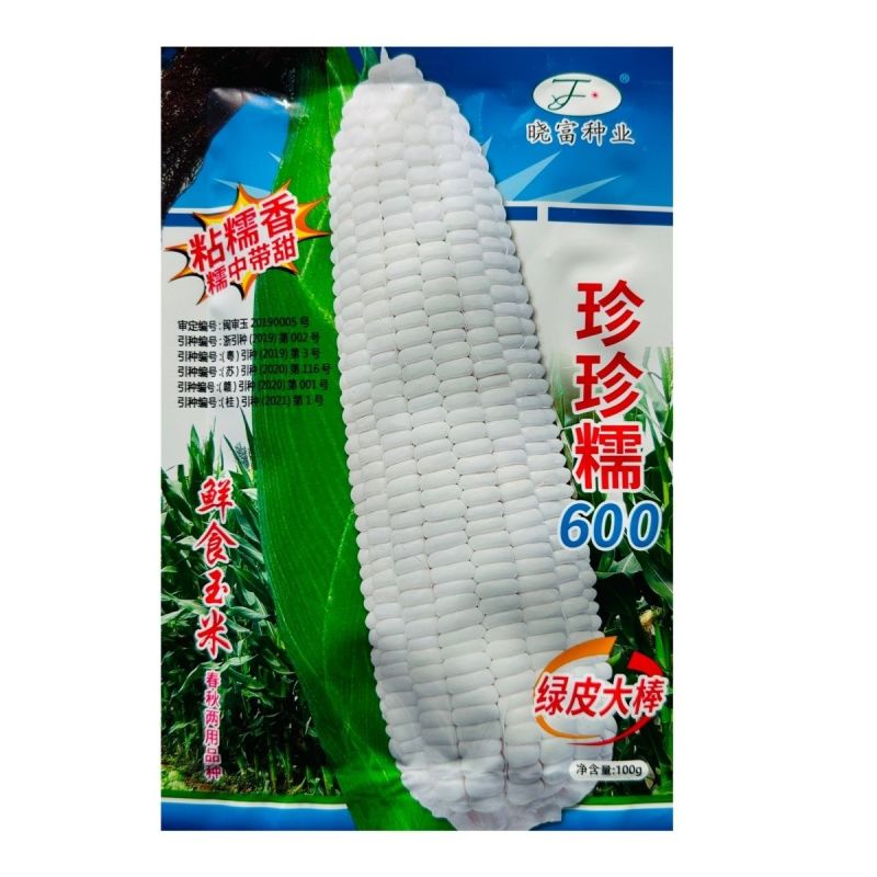 珍珍糯600玉米种子粘糯香糯玉米种子大号糯中带甜粘玉米种