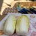 精品大娃娃菜高山富硒夏菜产地一手货源对接商超精品保质保量