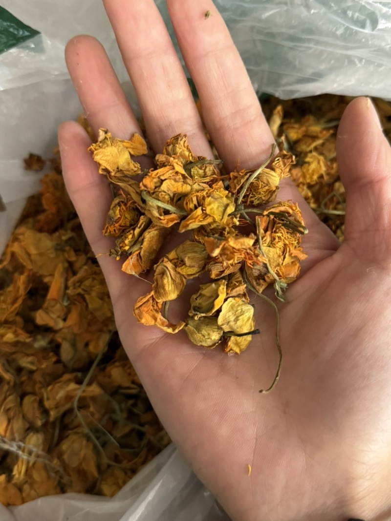 金莲花保庆药业批发金莲花颜色好金莲花