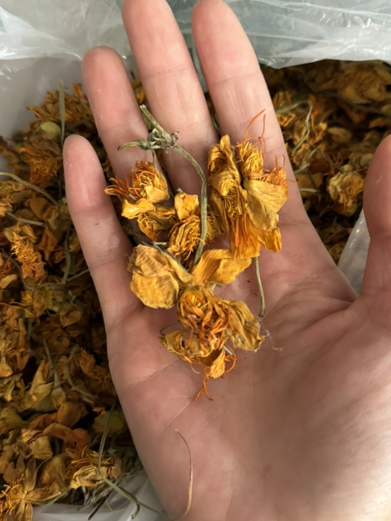 金莲花保庆药业批发金莲花颜色好金莲花