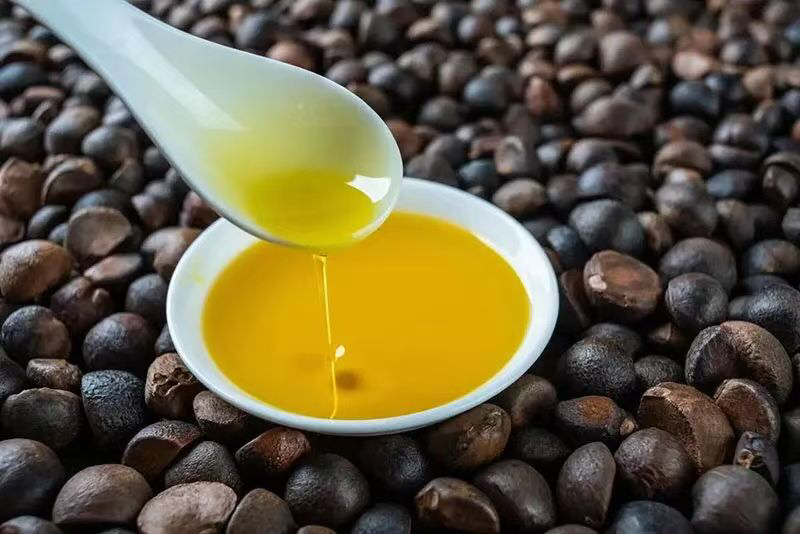 精品山茶油自产自销品质有保障关系来电咨询