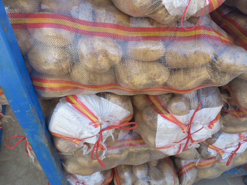 精品高次，微瑕疵，适合，学校，大集，另售，高品食堂。